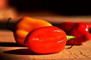 Chili habanero, bunt