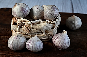 Knoblauch (allium ampeloprasum)