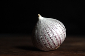 Knoblauch (allium ampeloprasum)