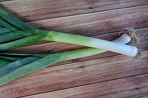 Lauch (allium porrum)