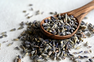 Lavendelbl&uuml;ten, getrocknet