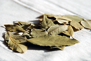 Lorbeer, getrocknet
