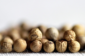 Wei&szlig;er Pfeffer