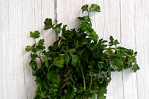 Glattpetersilie (petroselinum latifolium)