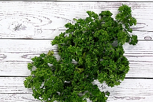 Krause Petersilie (petroselinum crispum)