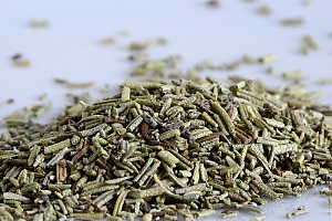 Rosmarin, geschnitten