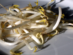 Sojasprossen