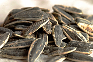 Sonnenblumenkerne