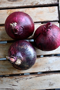 rote Zwiebeln