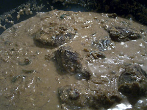 Lamm in pikanter Joghurtsauce